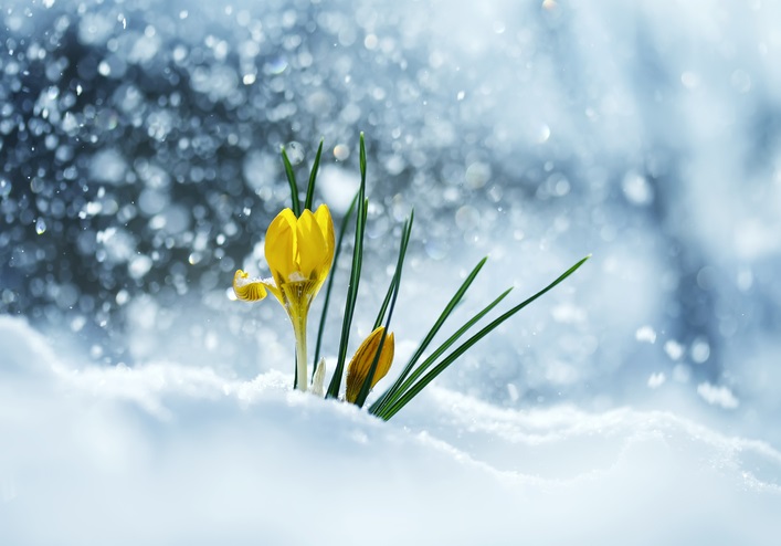 How to make money during an unprofitable market Image