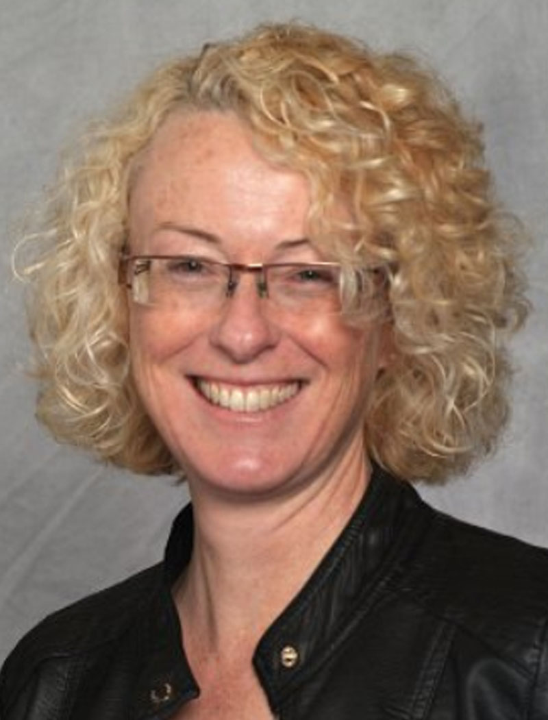 Looking Under the Hood Image