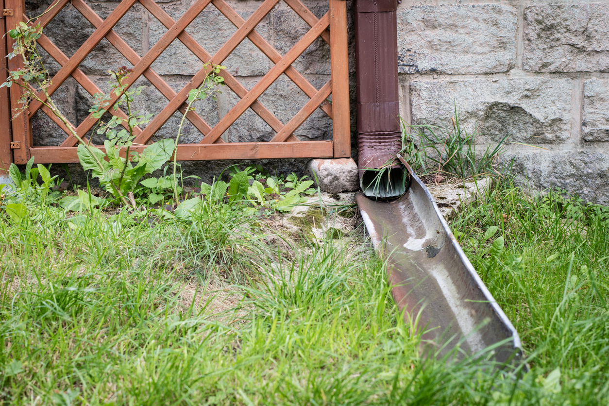 Online basement flood course coming soon Image