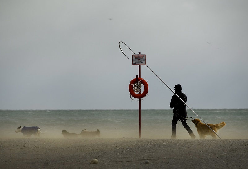 How the cat season so far compares to 2018 Image