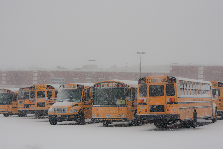 Winter storm shuts down schools, disrupts travel in Maritime provinces Image