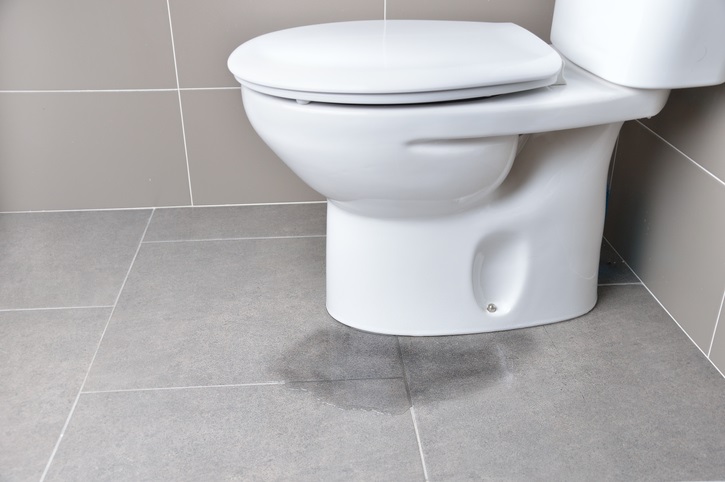 How much damage a toilet malfunction can cause Image