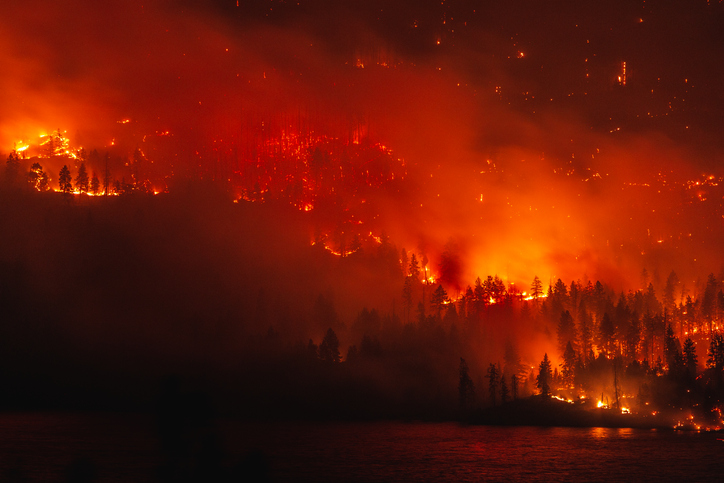 The hard part of managing wildfire risk Image