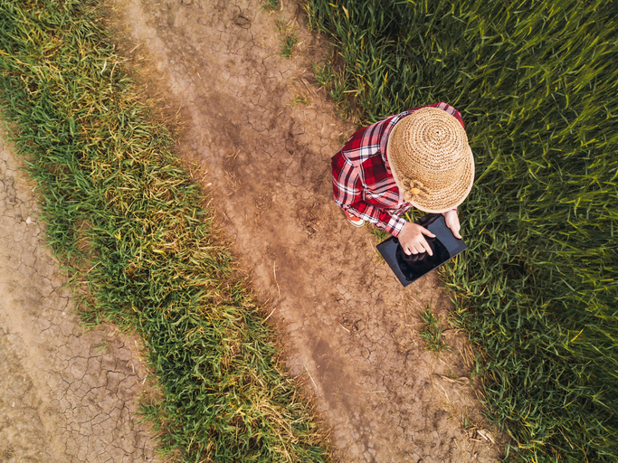 Insurtech platform bridges gaps in agricultural insurance Image