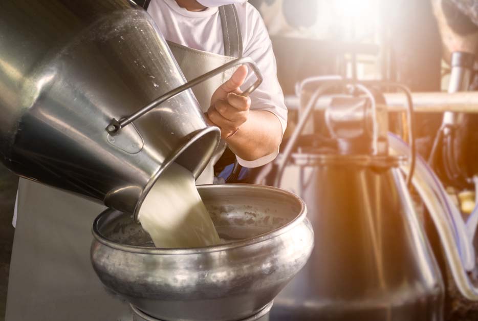 Manitoba farm fire kills 800 cows Image