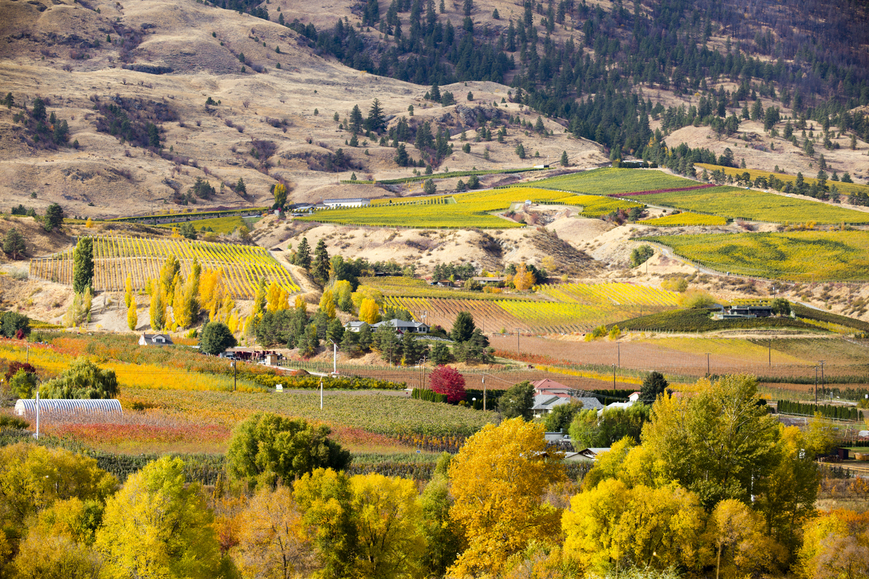 B.C. Okanagan wildfire remains out of control Image