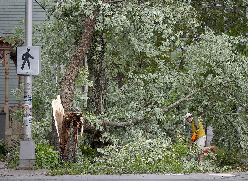 Did Dorian create a capacity issue for claims adjusters? Image