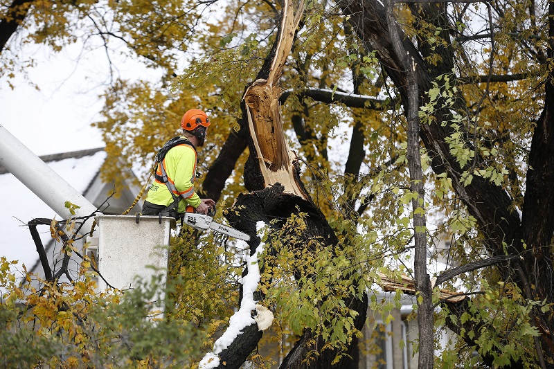 Unprecedented snowstorm leads to state of emergency in Manitoba Image