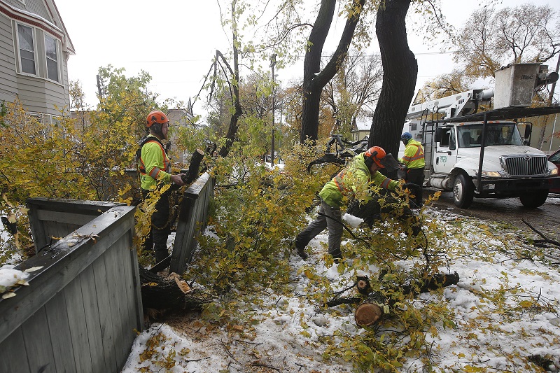 What claims adjusters are seeing from the Manitoba storm Image