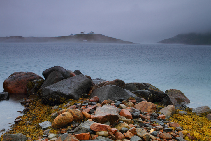 Family sues Quebec airline over alleged negligence Image