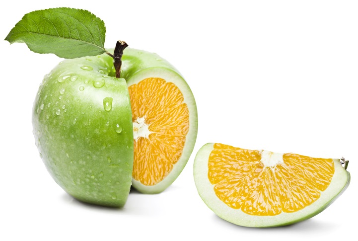 What carrier CEOs said when asked if MGAs should be regulated Image