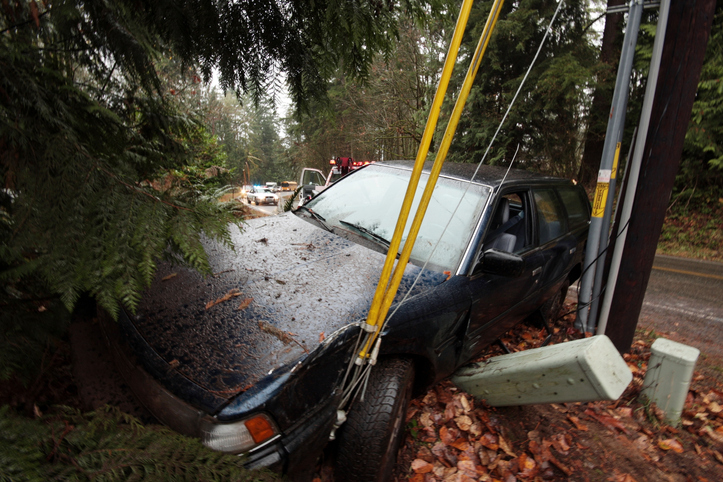 Collisions with power poles on the rise: BC Hydro Image
