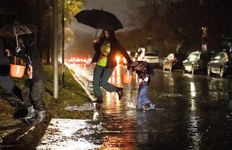 Remember that messy Halloween storm? This is how much it cost insurers Image