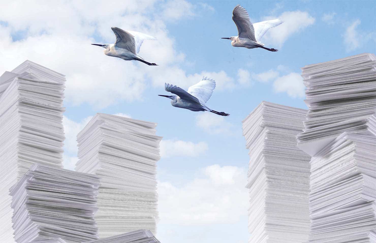 Soaring above the pile Image