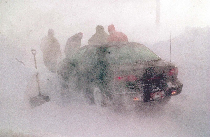 A hurricane with snow: RSA Canada reports on Newfoundland’s winter Cat Image