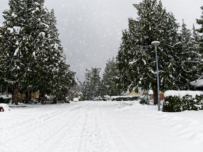 Metro Vancouver enduring first major snow storm Image