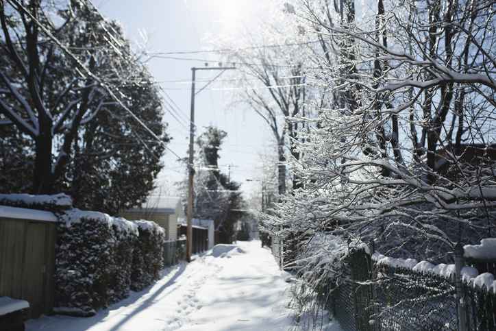 Winter storm causes more than 100 power outages in Quebec Image