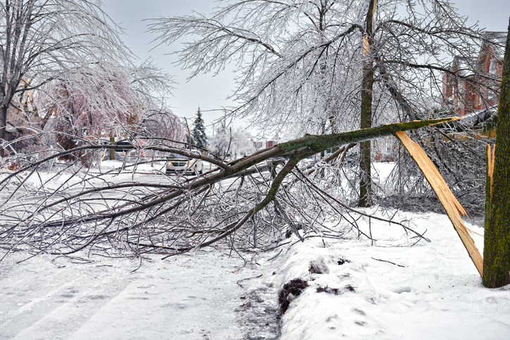 First month in eastern Canada sees storm damage of almost $100 million Image