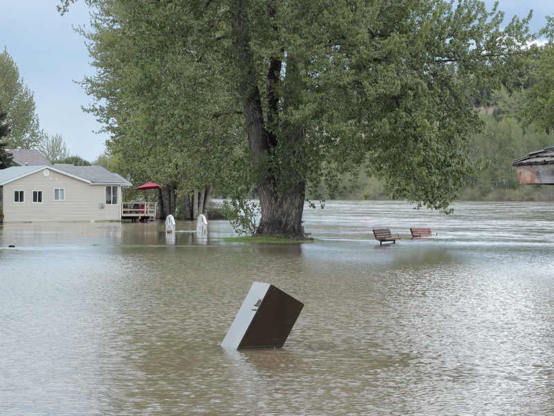 New evacuation order in B.C. as flooding affects central Interior Image