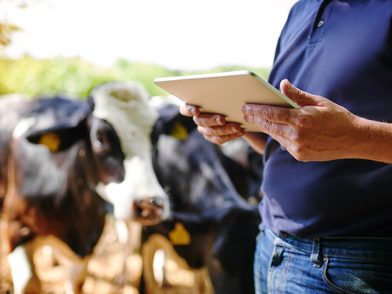 Are brokers affected by an urban-rural connectivity gap? Image