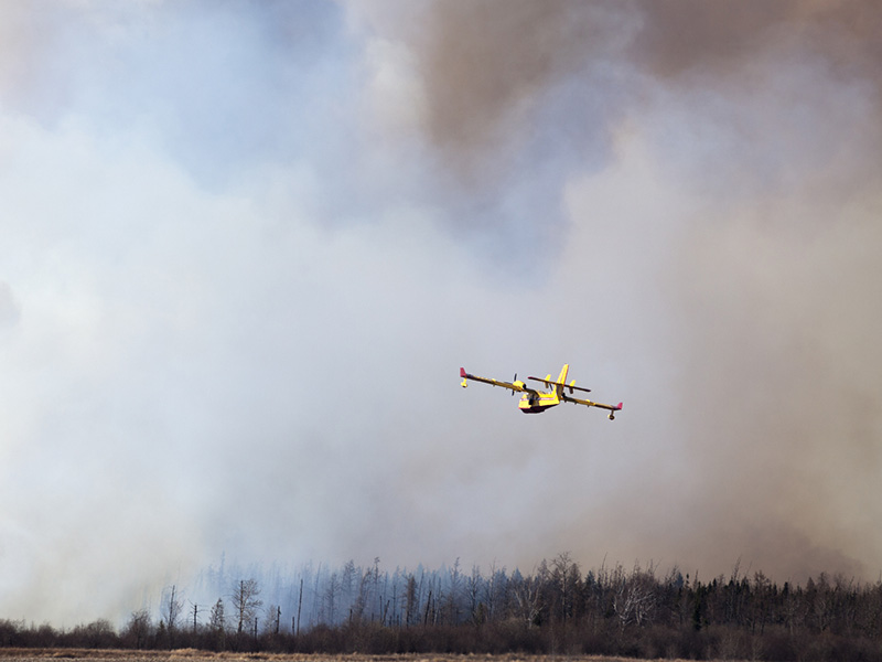 Residents evacuated for forest fire near Halifax allowed to return home Image