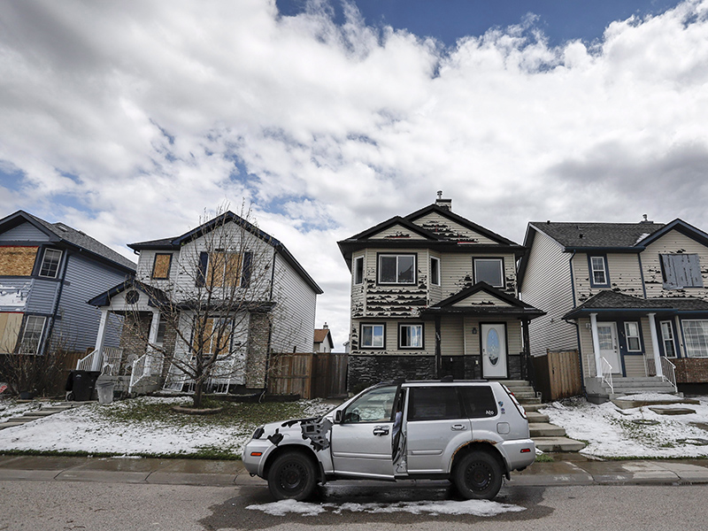 How much these four Alberta cats cost insurers in 2020 Image