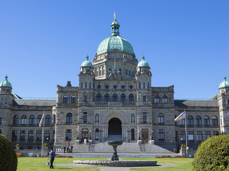 Intact has ‘lost hope’ in this market Image