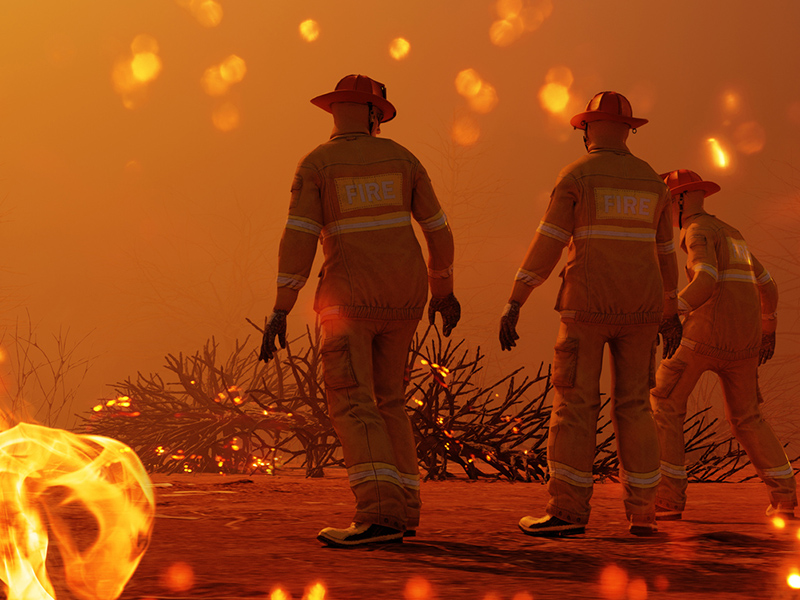 Forest fire in northern New Brunswick still burning but now considered contained Image