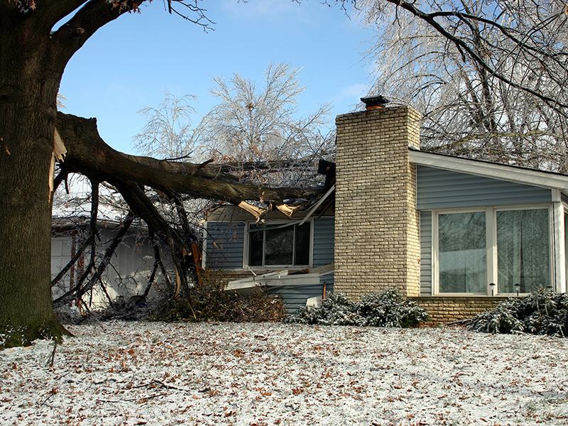 Why Intact predicts sustained hard market in home insurance Image