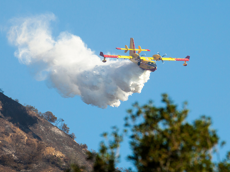 Out of control forest fire in Lac St Jean likely sparked by poorly extinguished campfire Image
