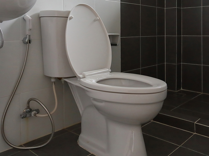 Toilet trouble means strata owner must reimburse corporation’s $5,000 deductible Image