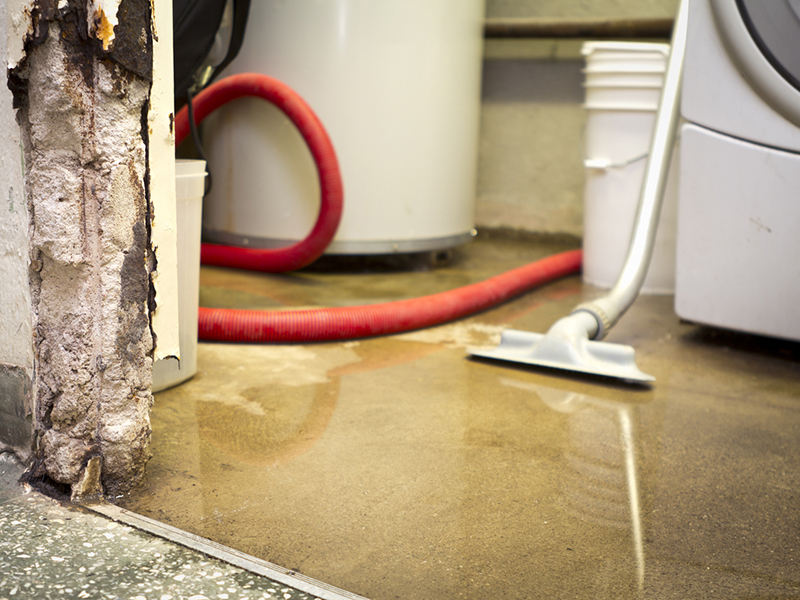 Basement flood victims lose suit against previous owners Image