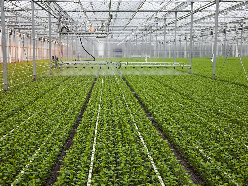 New boiler inspection rules coming to Ontario agriculture Image