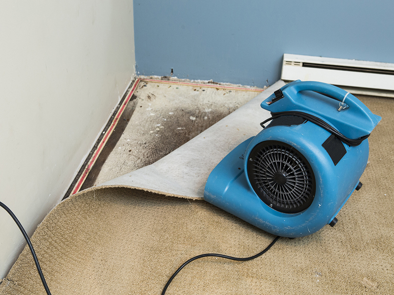 A groundwater flood occurs in the basement: Who pays for the carpet? Image