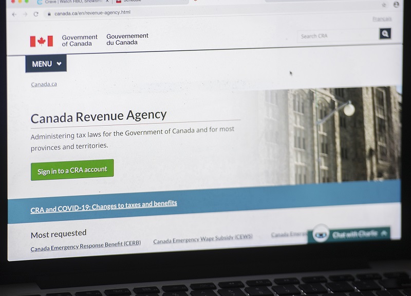 Canada Revenue Agency suspends online services after cyberattacks Image