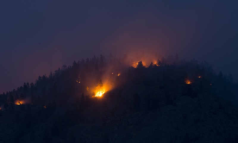 Shift in wind has potential to increase danger near Penticton, B.C. wildfire Image