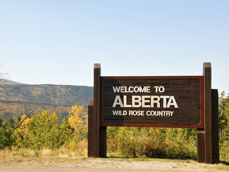 Industry needs ‘to find a solution’ to this claims adjusting problem Image