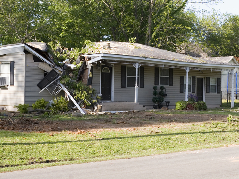 Today’s cat losses ‘unimaginable’ even 10 years ago: mutual CEO Image