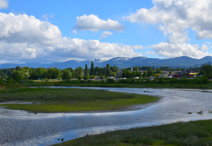 Powerful winds, high tides raise flooding concerns as storm sweeps across B.C. Image