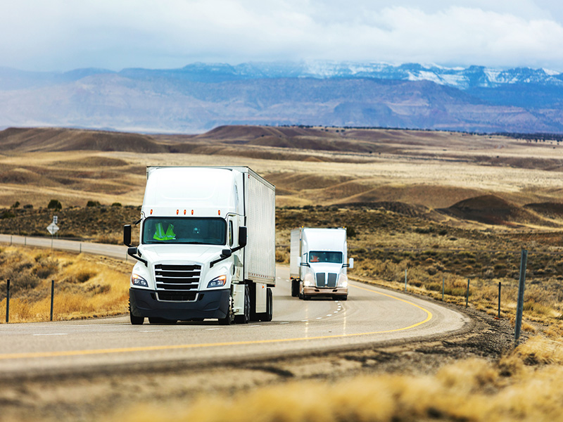 What can happen if cargo and business interruption insurer file separate subrogated claims Image