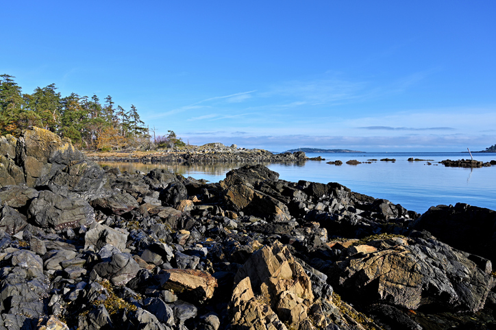 B.C. lacks plans for rising seas, flooding: coastal adaptation researcher Image
