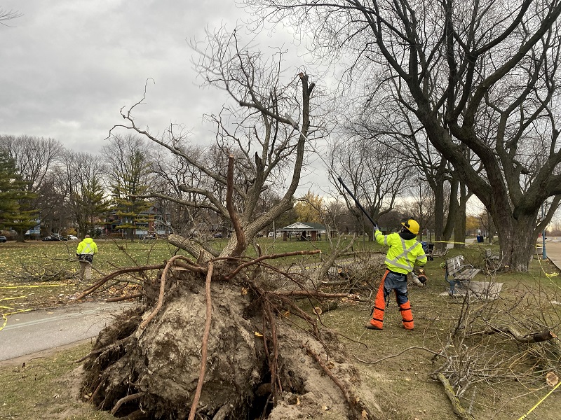 Ontario wind storm costs the industry $87 million Image