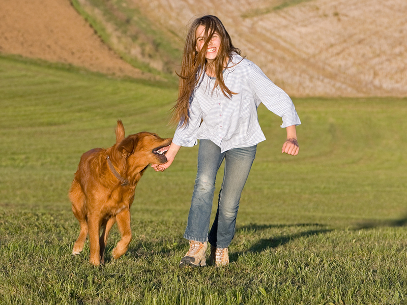 This kind of homeowner’s liability claim has real teeth Image
