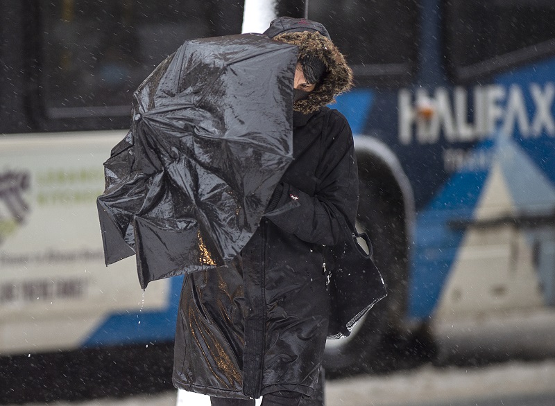 Messy winter storm slams into the Maritimes Image