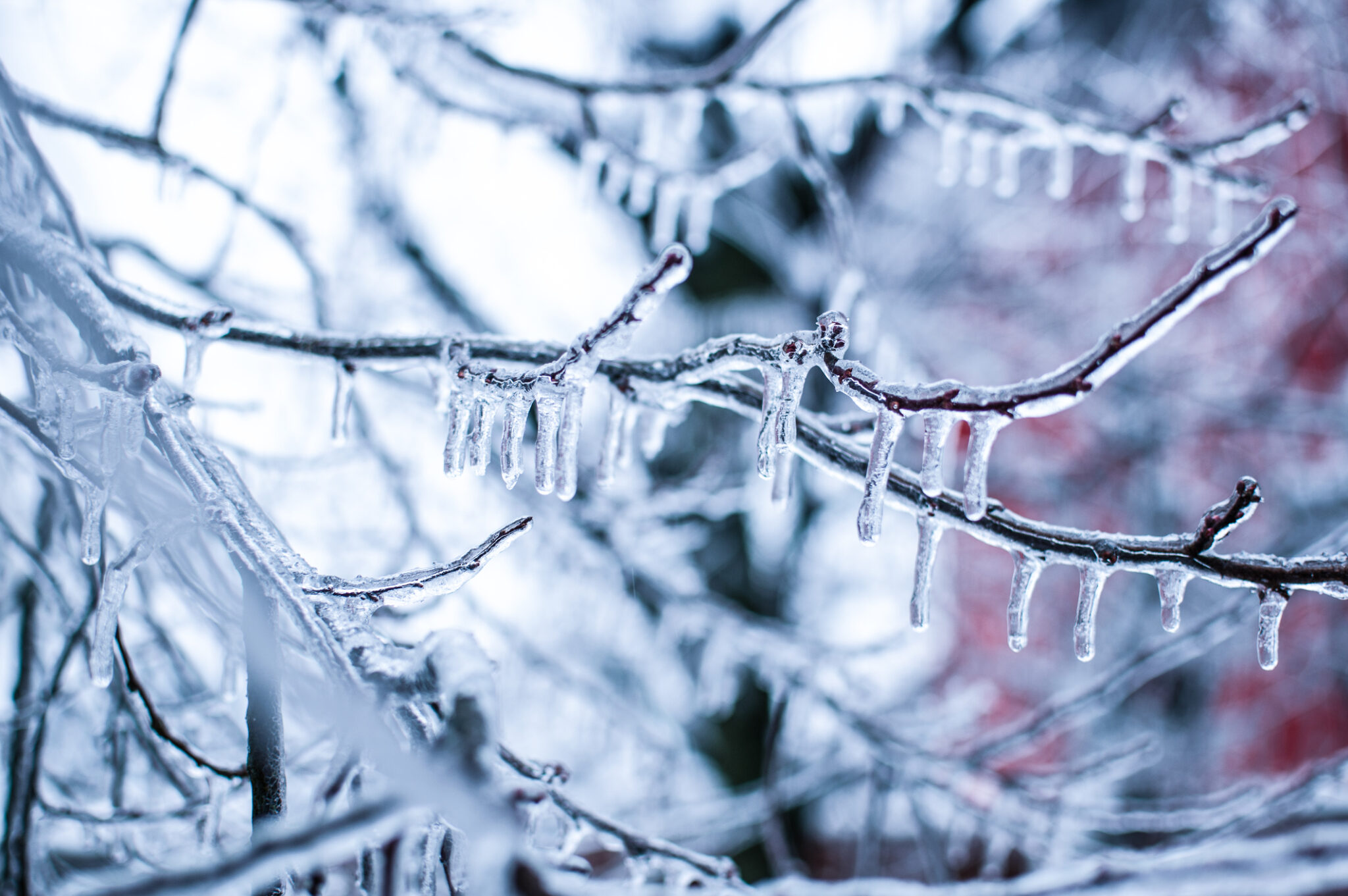 Cat counter starts the year at $134 million for winter storms Image