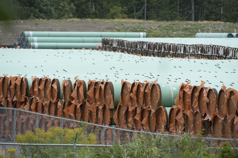 Trans Mountain pipeline operator wins fight to avoid naming its insurance companies Image