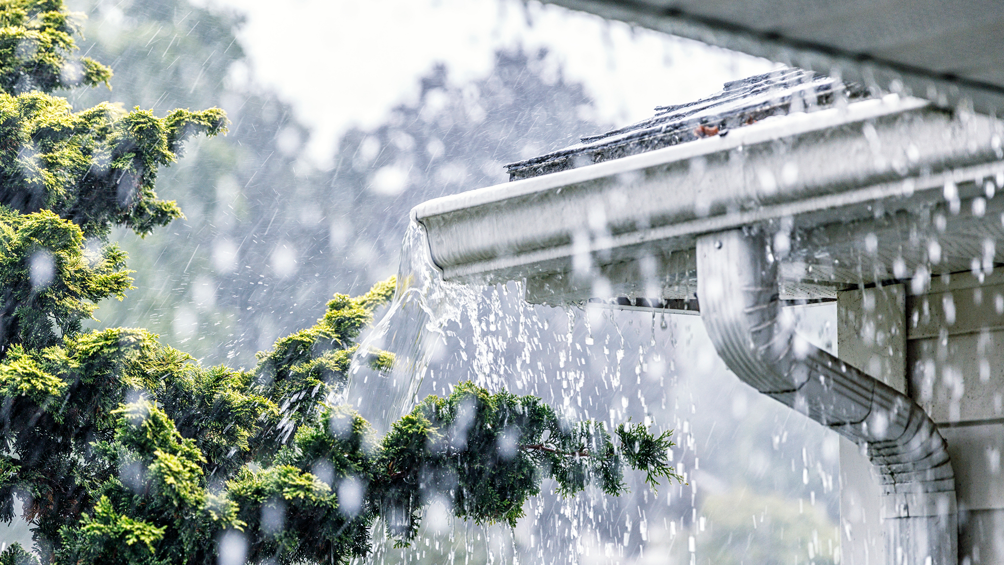 Simple ways to help customers avoid water-related losses Image