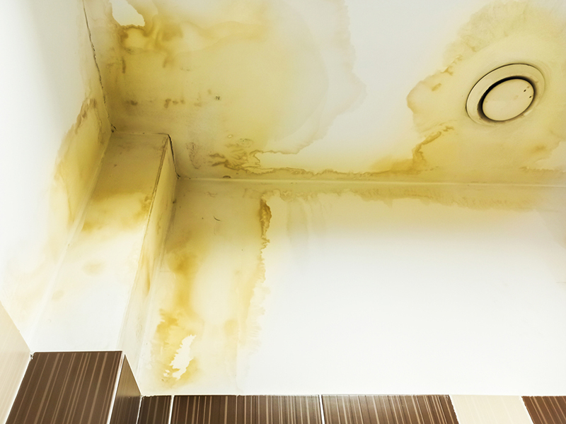 Tribunal quashes small claim from owner of water-damaged strata unit Image