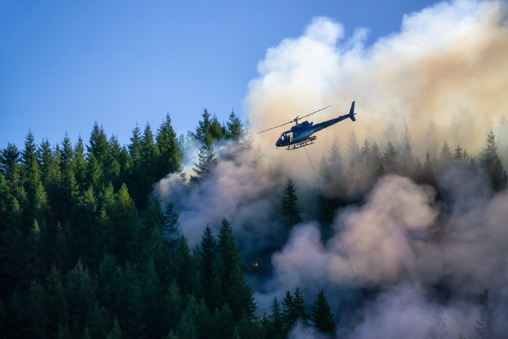 Wildfire service outlook points to rising fire risk for southern B.C. Image