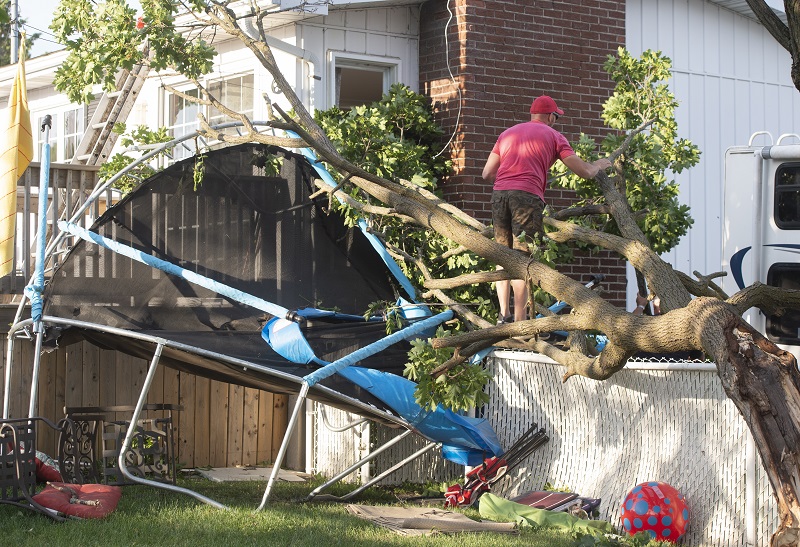 Cleanup of trees, debris underway after deadly Quebec tornado Image